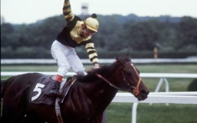 Seattle Slew Chevaux de Course : Top 5 des purs-sangs d’exception